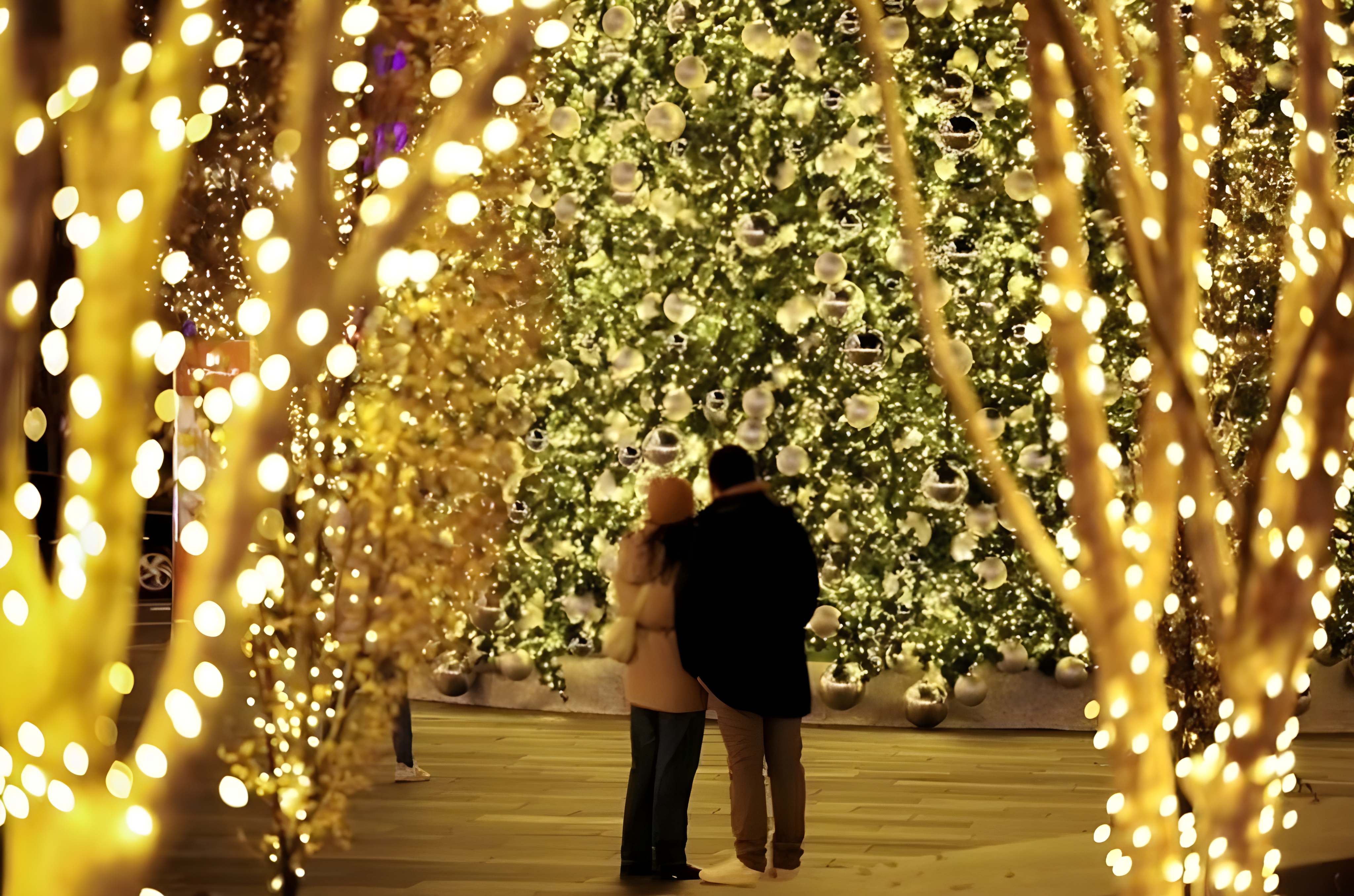 Seasonal Tours